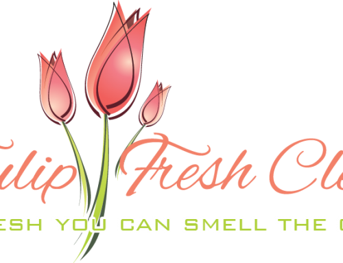TLS092 Maria Stoeckner – Tulip Fresh Clean
